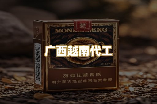 广西越南代工